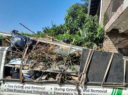 Best Moving and Downsizing Cleanouts  in Morrisville, NC